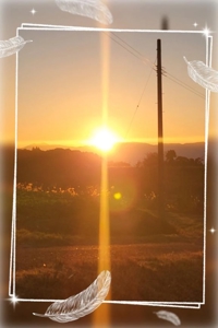 鹿児島ちゃんこ 霧島店 おとは あなたのおかげ