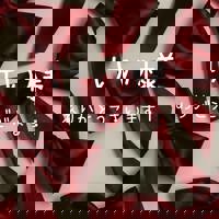 宮崎ちゃんこ中央通店　ぼたん