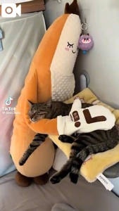 薩摩♂風俗の神様鹿児島店 あさひな おはようございます