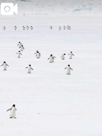 薩摩♂風俗の神様鹿児島店　あさひな