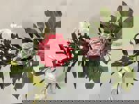 大人の遊園痴「スピーディー」　りつ（敏感で癒し系）