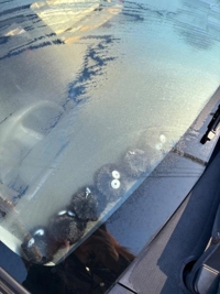 鹿児島ちゃんこ 霧島店 しずか ご予約