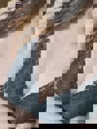 宮崎ちゃんこ中央通店 みる 今日は・・