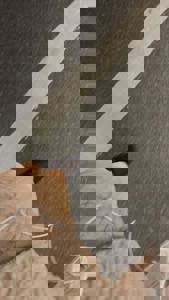 宮崎ちゃんこ中央通店　さな