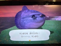 amazing（アメイジング）(那覇市) るい❀