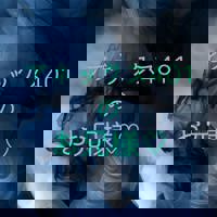 宮崎ちゃんこ中央通店　ぼたん