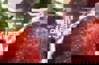 宮崎ちゃんこ中央通店 さな お礼