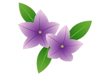 TheGrandPhoenix　ききょう※エロ美魔女