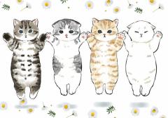  キキ♡一皮剥けてエロさ増し増し