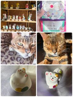 ご主人様いらっしゃい 大分店　神舌ゆい♡最強エロ女（痩せてきた）