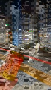 宮崎ちゃんこ中央通店　さな