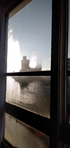 宮崎ちゃんこ都城店 なつこ 窓の朝露に照らされて一枚