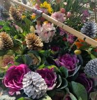 待ちナビ　らいあ