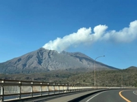 マドンナSANSAIN りんか 17時から！！