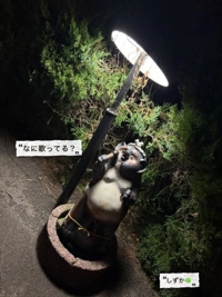 鹿児島ちゃんこ 霧島店 しずか 戻りました