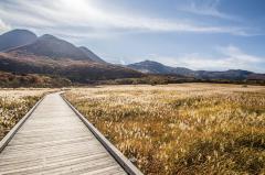 一夜の愛人　もか