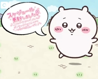 宮崎ちゃんこ都城店　こはる