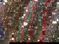 大人の遊園痴「スピーディー」　りつ（敏感で癒し系）