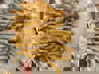 大人の遊園痴「スピーディー」　りつ（敏感で癒し系）