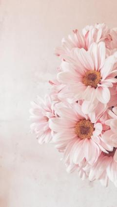 CLUB LUMINE　葉月【はずき】