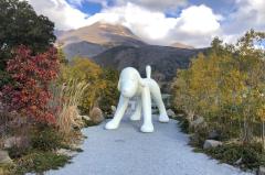 一夜の愛人(デリヘル) もか