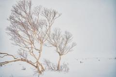 commit　みどり【五十路】