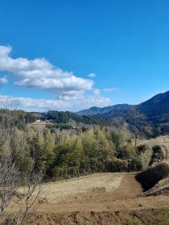 ミストレス　レイラ(痴女・女王様)