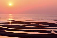 人妻24時　しずく