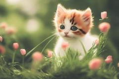 人妻宅急便　かよ（美熟女奥様）