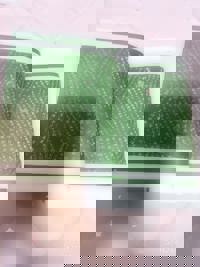 大人の遊園痴「スピーディー」　ゆう（美脚でスレンダー）