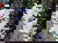 大人の遊園痴「スピーディー」　りつ（敏感で癒し系）