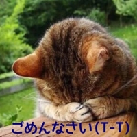 待ちナビ　まお