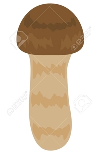 TheGrandPhoenix　かおり※素人系Ｍ嬢奥様