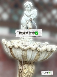 鹿児島ちゃんこ 霧島店　しずか