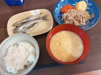 宮崎ちゃんこ都城店　くぅ