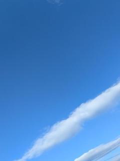 JaPON　新人！美鈴ﾐｽｽﾞ