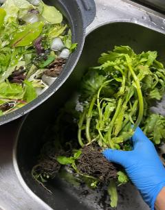 Mrs. LUSH　多江子