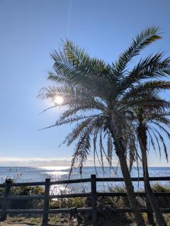 ぽちゃカワましゅまろ～GRINDグループ～　あさみ★パイパン娘★