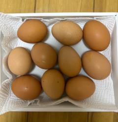 Roots(ルーツ)　さら