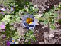 大人の遊園痴「スピーディー」 宮崎市デリヘル りつ（敏感で癒し系） 写メ日記「今日も宜しくね」