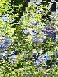 大人の遊園痴「スピーディー」　りつ（敏感で癒し系）