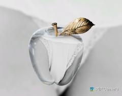 鶴富屋敷　ヒナ、(癒しの女王)