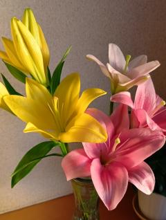 ご主人様いらっしゃい 大分店　ｳﾒ♡週末オールナイト