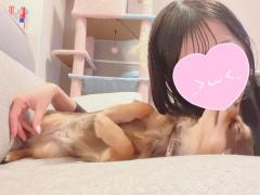 CLUB LUMINE　Haru【ハル】