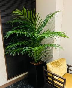 人妻宅急便　みな(小柄美熟女)