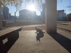  りと☆聖水黄金AF対応Lカップ☆