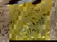 大人の遊園痴「スピーディー」　りつ（敏感で癒し系）