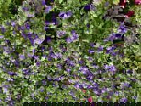 大人の遊園痴「スピーディー」　りつ（敏感で癒し系）