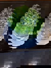  かおるこ(kaoruko)