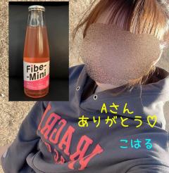 MICHELIN ミシュラン　こはるKOHARU